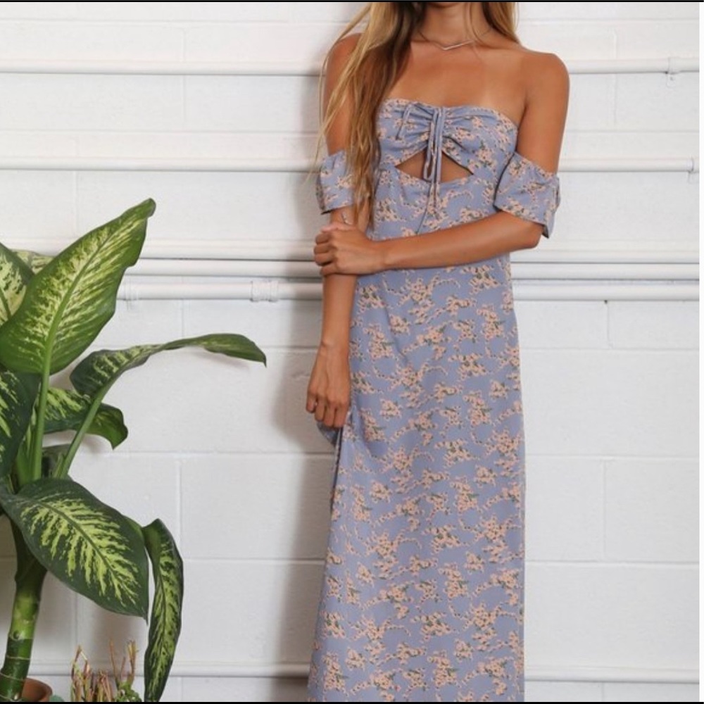 Flynn Skye Err Night Maxi Dress in Sherbert Daisy size XS